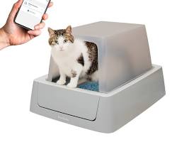 PetSafe ScoopFree Complete Smart Self-Cleaning Cat Litter Box with Front-Entry Hood