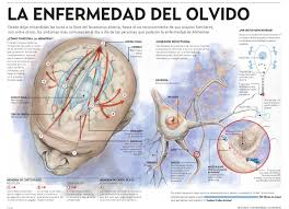 Imagen relacionada