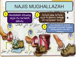 Image result for contoh najis mukhaffafah