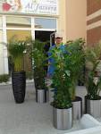 Potting pots Ajman