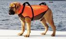 Outward Hound Kyjen 220Ripstop Dog Life Jacket