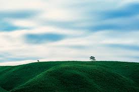 「gotoaki」の画像検索結果