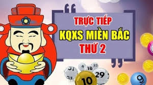 Pháp Luật và Xã hội - News update