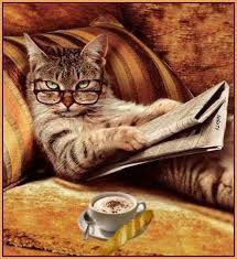 images?q=tbn:ANd9GcSomow86mFb__NSQEDLgwaMe-qFNmJ5YYc9A_MgXmc3RJ24heCY