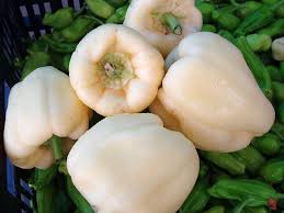 Image result for white pepper