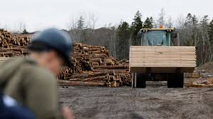 US Increases Duties on Canadian Lumber Amid Trade Dispute