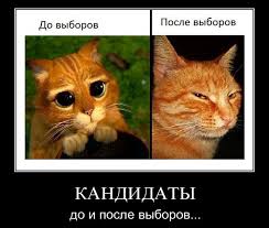 У Порошенко предлагают сократить вдвое количество местных депутатов - Цензор.НЕТ 6383
