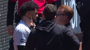 Jasson Domínguez Injured After Collision with Outfield Wall