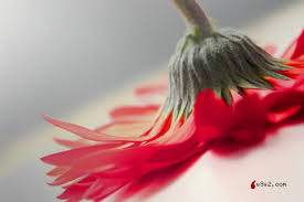 ���� ���� ������ �� ���� ������