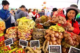 Resultado de imagen para feria de productos agricolas fotos