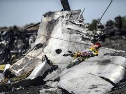Image result for mh17 wings