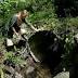 Washington Loses Fight, Might Pay up to $2B to Save Salmon
