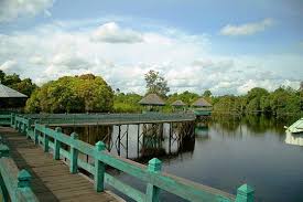 Image result for DANAU TASIKARDI
