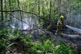 Bosbrand in Moergestel