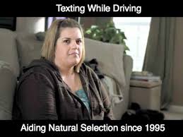 Image result for Natural funny image