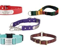 various dog accessoriesの画像
