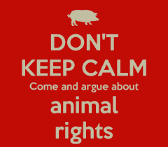Image result for animal rights