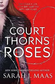 Image result for a court of thorns and roses