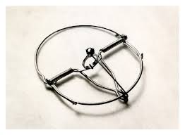 Resultado de imagen de Chema Madoz