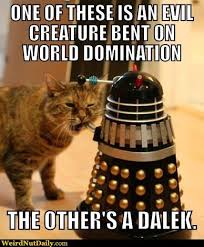 Image result for Dalek memes
