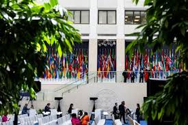 Fondo Monetario Internacional