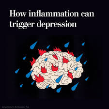 Inflammation of the body may explain depression in the brain