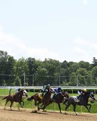 Saratoga TODAY newspaper - News update
