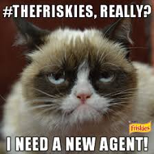Image result for welcome to the internet meme