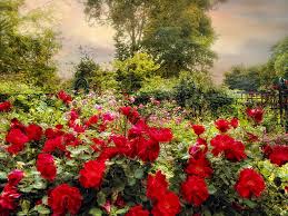 images?q=tbn:ANd9GcSpeBAB2KBEVtPZQmiH3RbBfCcYz17aBzQXqEz2Hh5AMmhShpbA44KfhnFQ