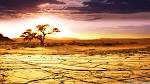 Wonderful Africa Wildlife and Landscape - 51J -