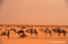 Resultado de imagen de caravana del corazón de africa