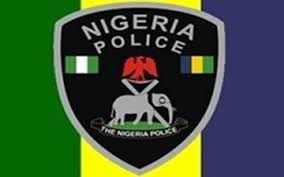 Image result for nigeria police force