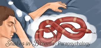 תוצאת תמונה עבור ‪people in dream‬‏