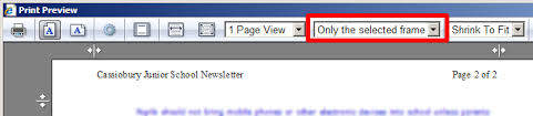 Image result for print preview screen without preview
