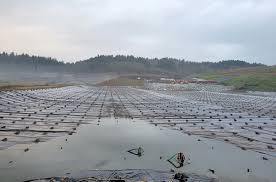 Lane County may site its food diversion project at landfill after permitting trouble, garbage haulers again object