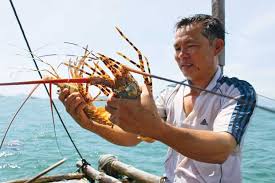 Tôm Hùm Ngon Bao Ăn Tại Tp.hcm 0974899997 Tôm Hùm Ngon Bao Ăn Tại Tp.hcm