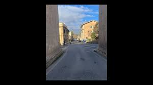 Trend Google: subiaco