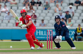 The Cricket Panda - News update