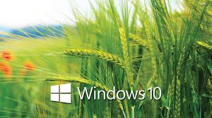 Résultat de recherche d'images pour "windows 10 effets visuels"