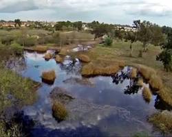 Madrona Marsh Preserve