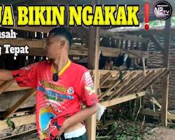 Gambar Peserta kursus menikmati mukbang tengkleng kepala kambing di Pawon 24 Jam dengan latar belakang dinding batik tulis