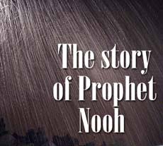 Image result for prophet nooh