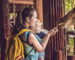 Image de Aller au zoo avec des enfants