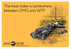 Heat Wave on Pinterest via Relatably.com