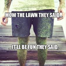 mow the lawn they said, it&#39;ll be fun they said - Dump A Day via Relatably.com