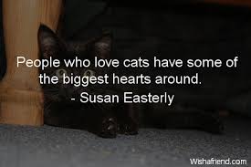 Kitty quote