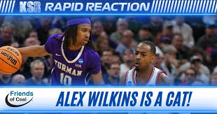 alex wilkins Picture