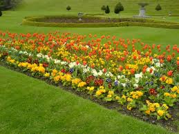 Resultado de imagen para flores bonitas