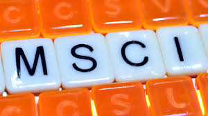 MSCI World: Das einzige Investment, das du (nicht mehr) brauchst?