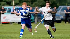 Résultat de recherche d'images pour "shinty"